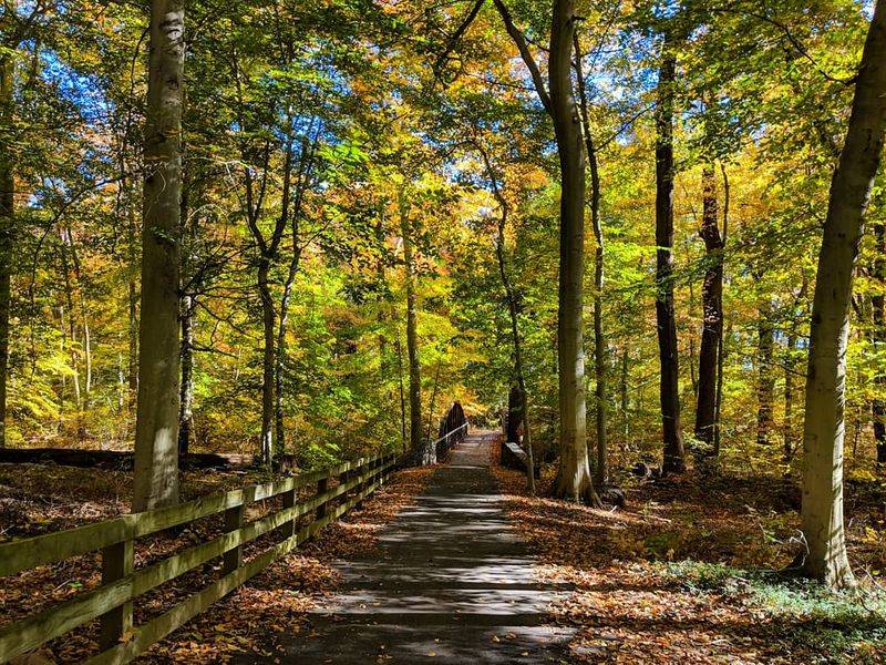 Alapocas Run State Park: Rock Cliffs, Wooded Trails, and a Folk Art Surprise