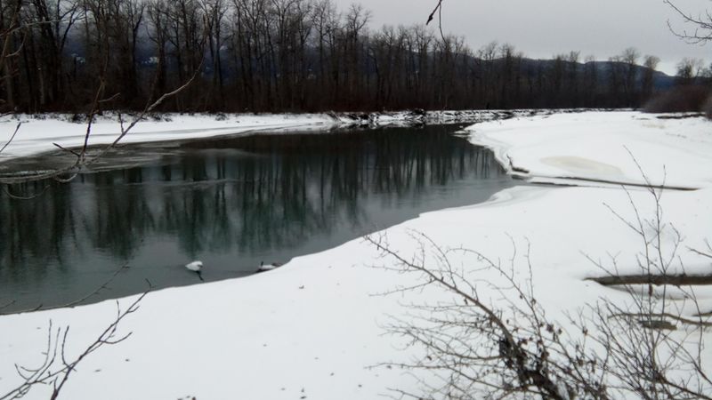 Alaska Chilkat River, Klukwan, Alaska, United States Alaska Chilkat River, Klukwan, Alaska, United States