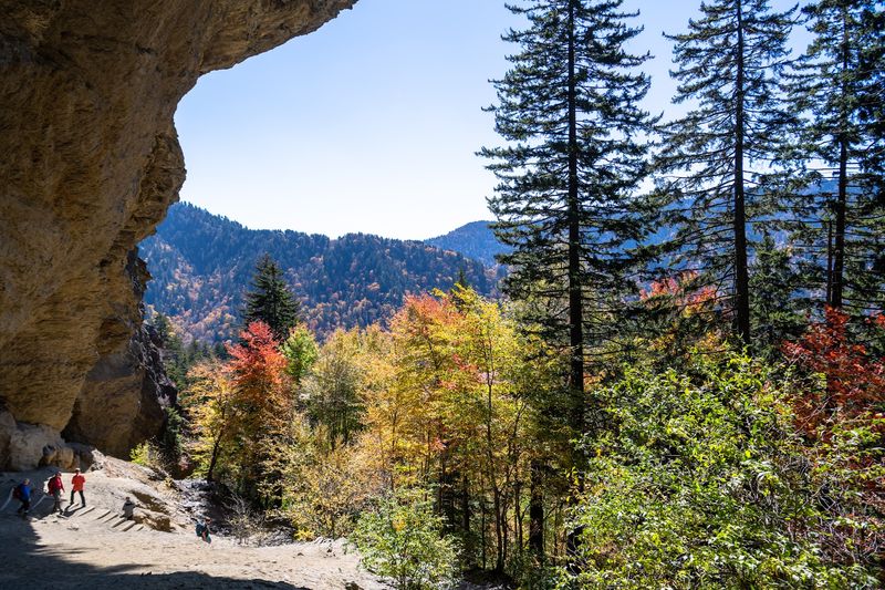 Alum Cave Trail and the Art of Slowing Down