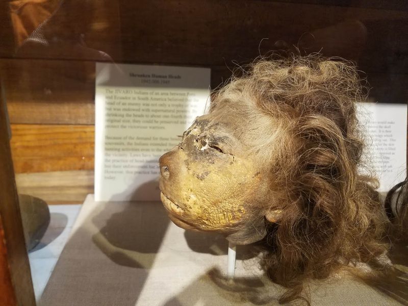 Amazonian Shrunken Heads and the Story Behind Them Amazonian Shrunken Heads and the Story Behind Them