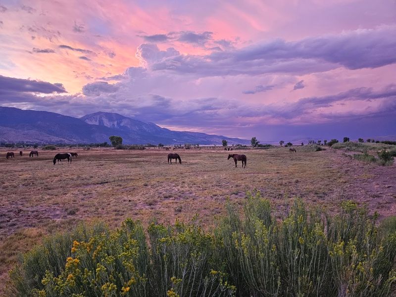 An Equestrian Center Unlike Most State Parks An Equestrian Center Unlike Most State Parks