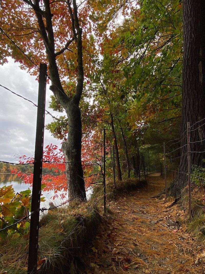An Unexpected Inspiration Behind Thoreau's Experiment An Unexpected Inspiration Behind Thoreau's Experiment