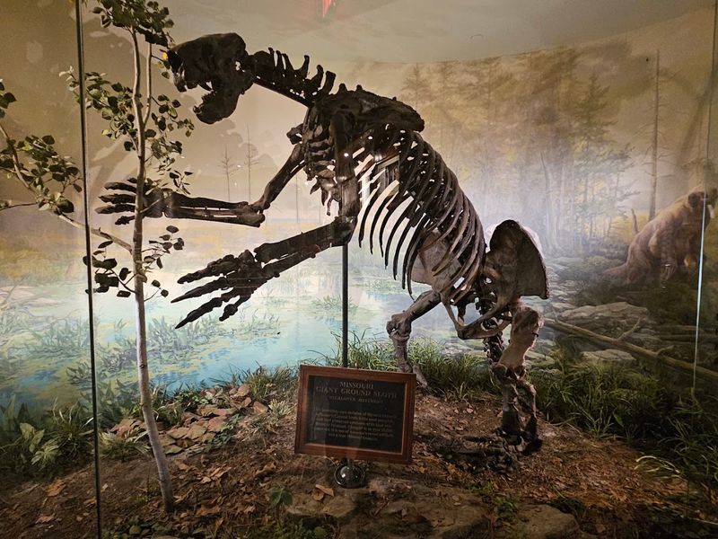 Ancient Ozarks Natural History Museum: Prehistoric Wonders Included
