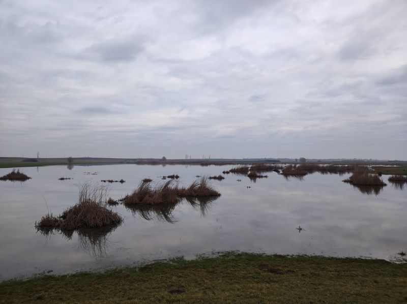 Andrid, Satu Mare County, Romania