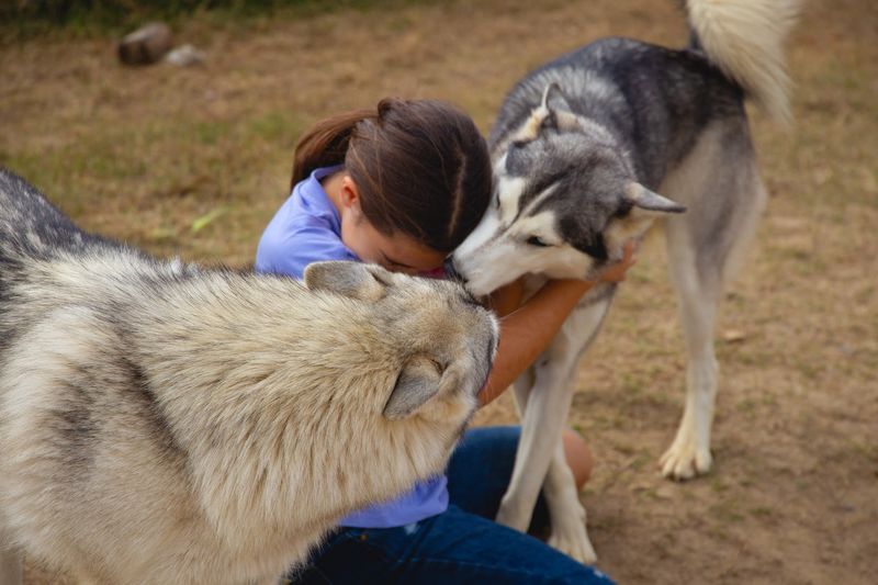 Animal Welfare and the Care Behind the Scenes
