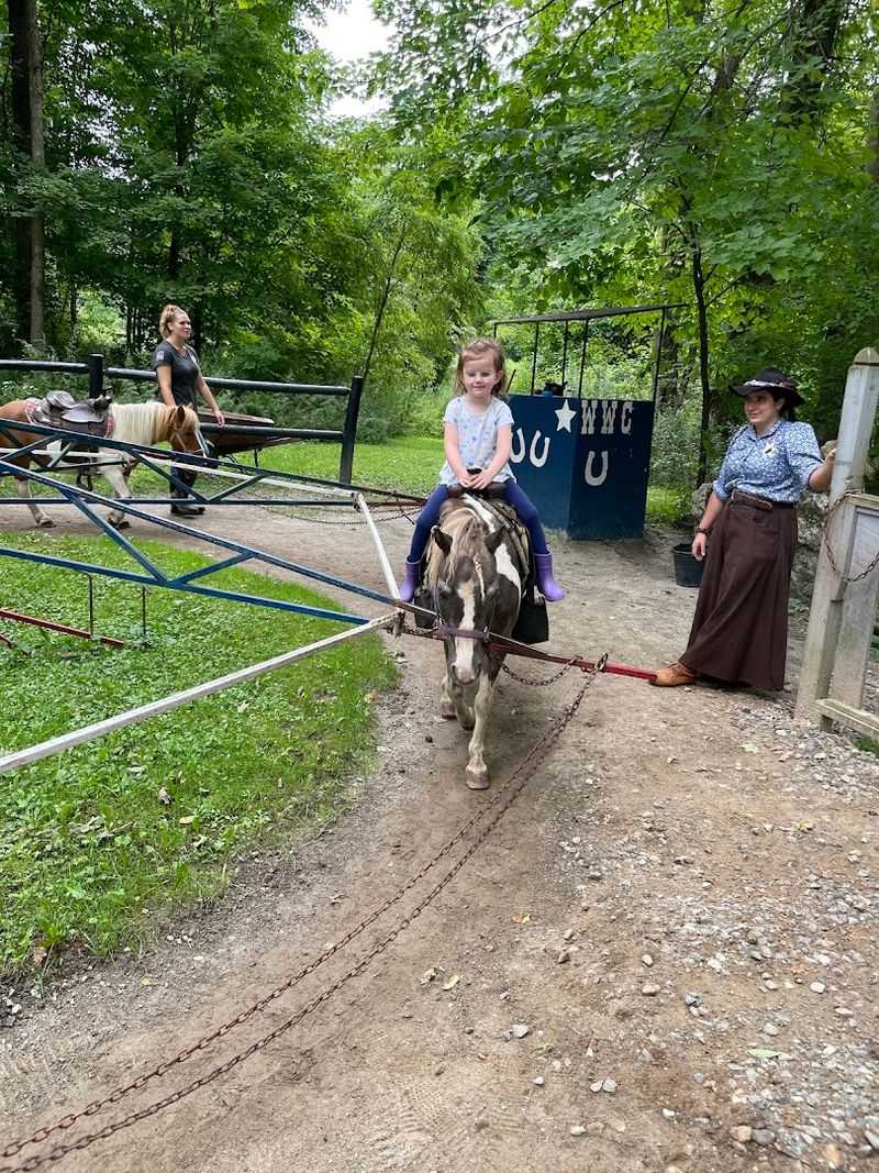Animals, Pony Rides, And Mini-Golf Animals, Pony Rides, And Mini-Golf