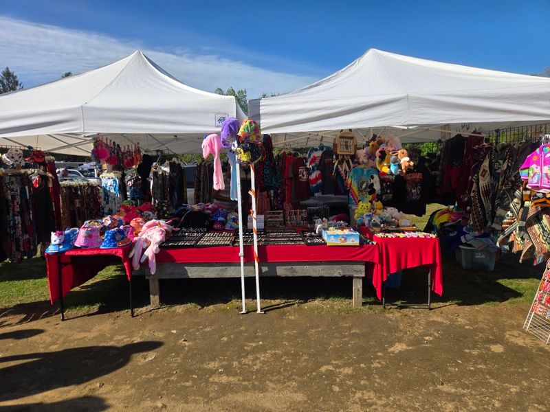 Antiques, Collectibles, and the Thrill of the Hunt