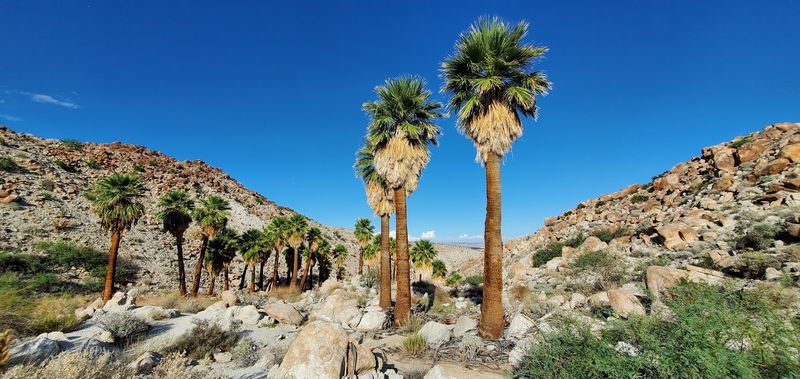 Anza-Borrego Desert State Park, California Anza-Borrego Desert State Park, California