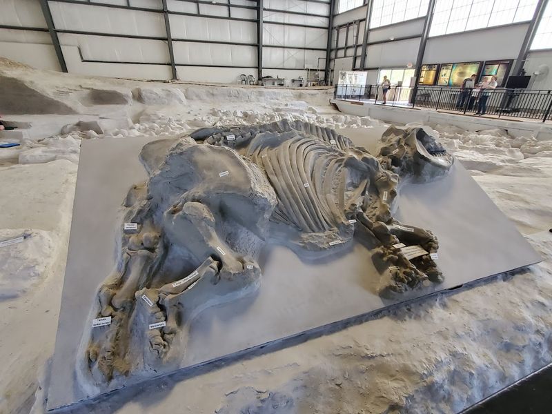 Ashfall Fossil Beds State Historical Park, Royal, Nebraska Ashfall Fossil Beds State Historical Park, Royal, Nebraska