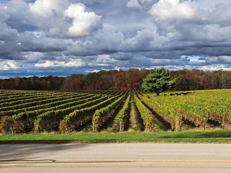 Ashtabula County Wine Country Just Minutes Away