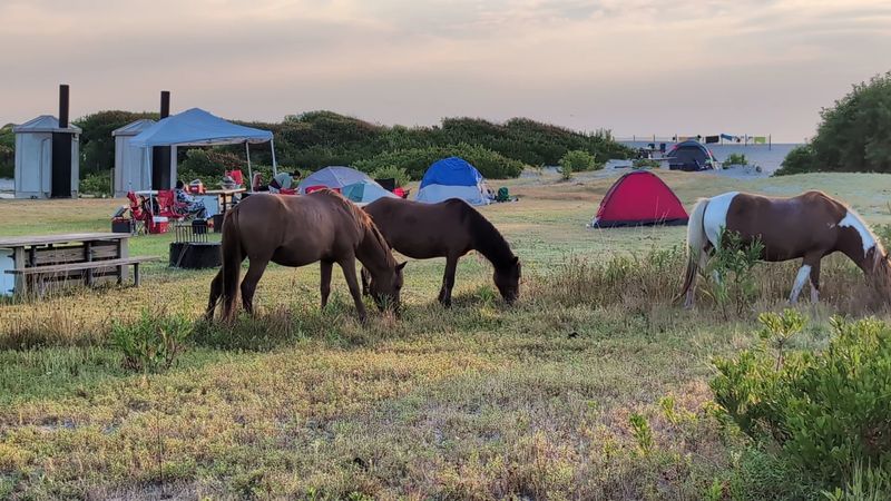 Assateague Island National Seashore, Maryland and Virginia Assateague Island National Seashore, Maryland and Virginia