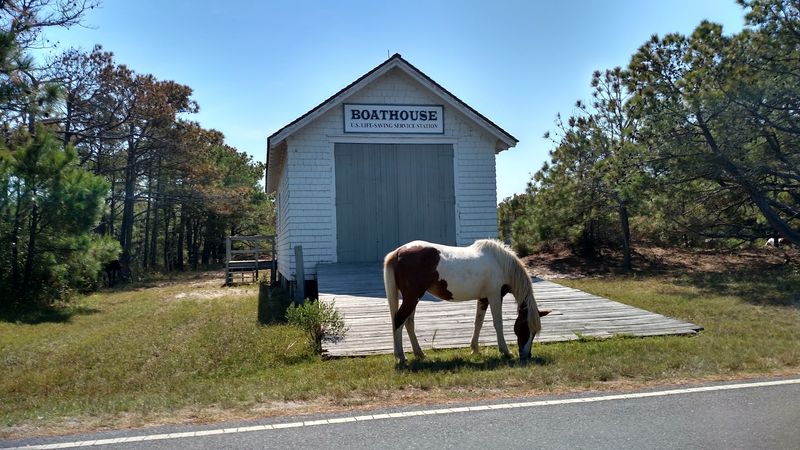Assateague State Park – Maryland Assateague State Park – Maryland
