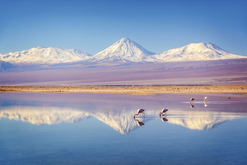 Atacama Desert, Chile