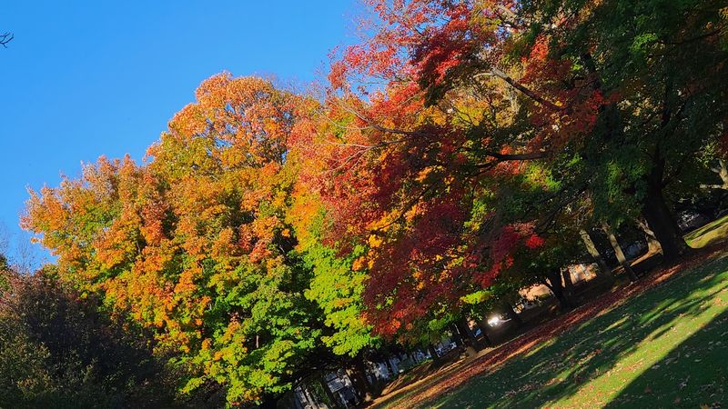 Autumn in the Parks: Why Fall Might Be the Best Season to Visit