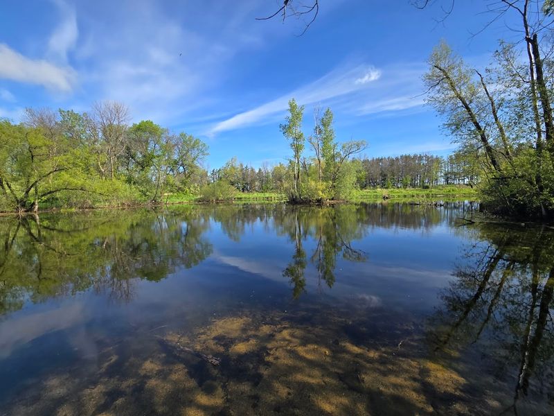 Bean Lake and the Quiet Shoreline Bean Lake and the Quiet Shoreline