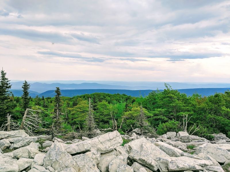 Bear Rocks Trail, Davis, West Virginia