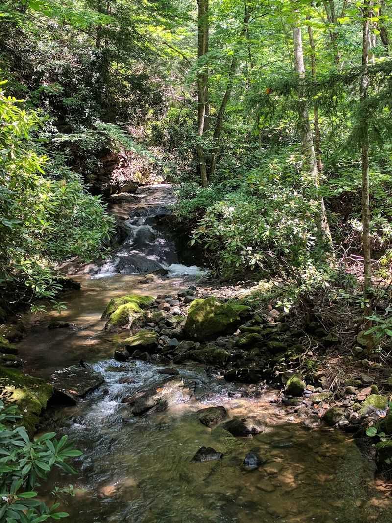 Bear Run Nature Reserve, Mill Run, Pennsylvania