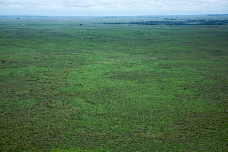 Beni Savanna, Bolivia