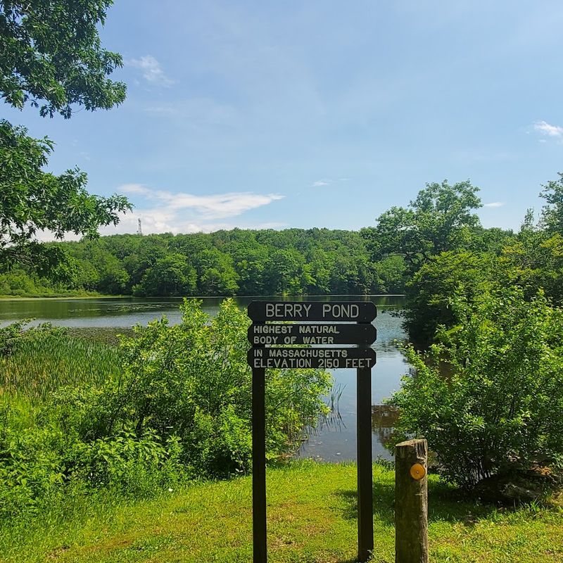 Berry Pond: The Record-Holder on the Mountain