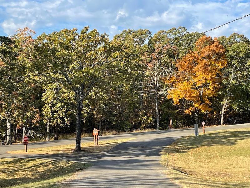 Best Time to Hike the Ankle Express Trail