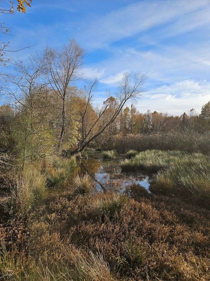 Best Time to Visit the Refuge
