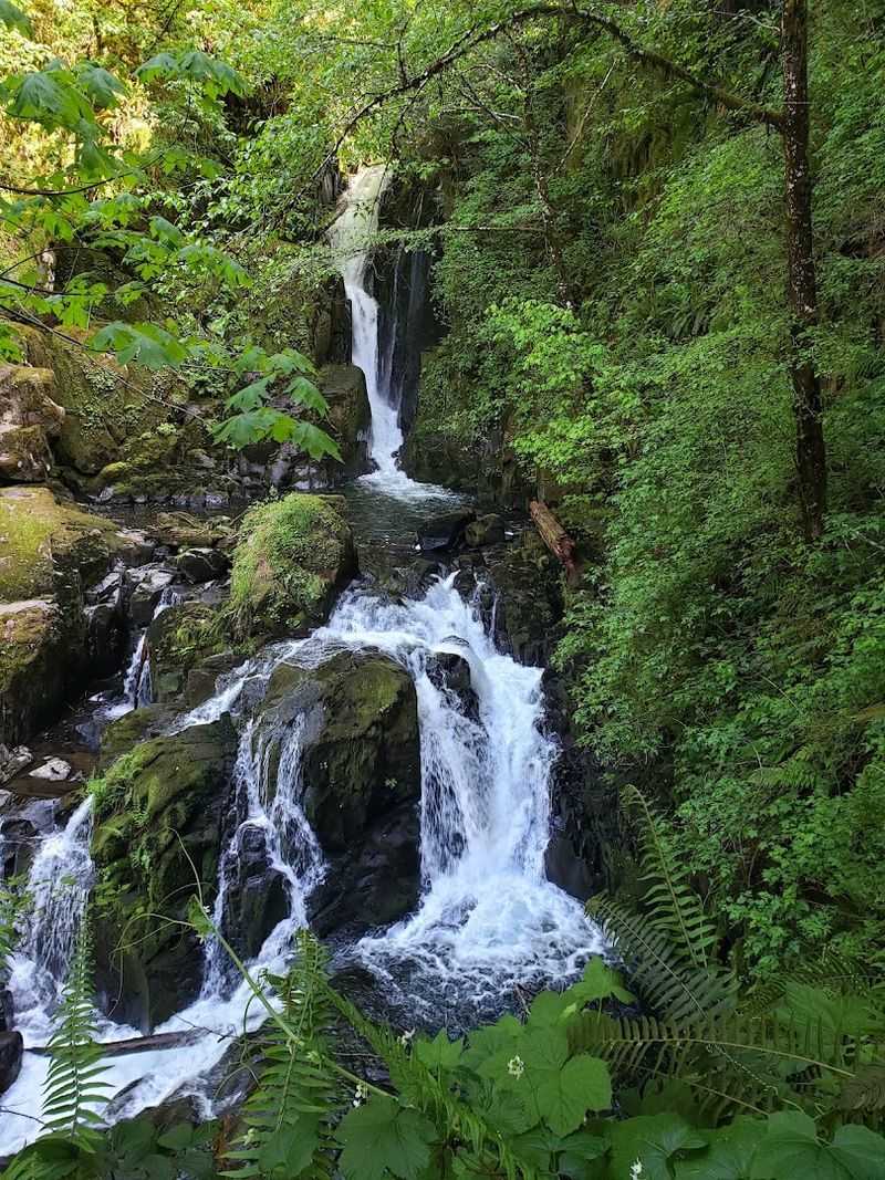 Best Times to Visit and Seasonal Highlights Best Times to Visit and Seasonal Highlights