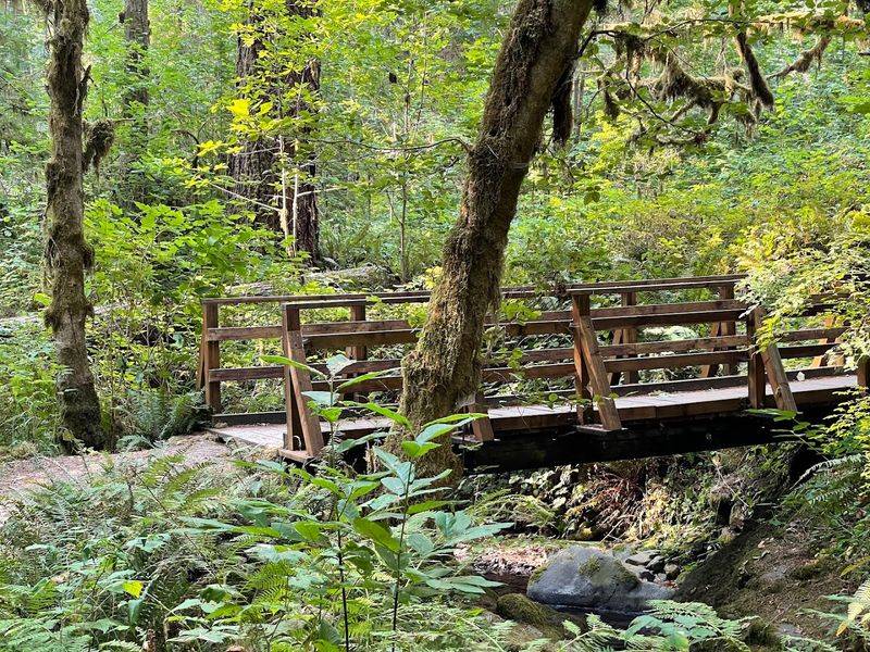 Best Times to Visit and Seasonal Tips Best Times to Visit and Seasonal Tips