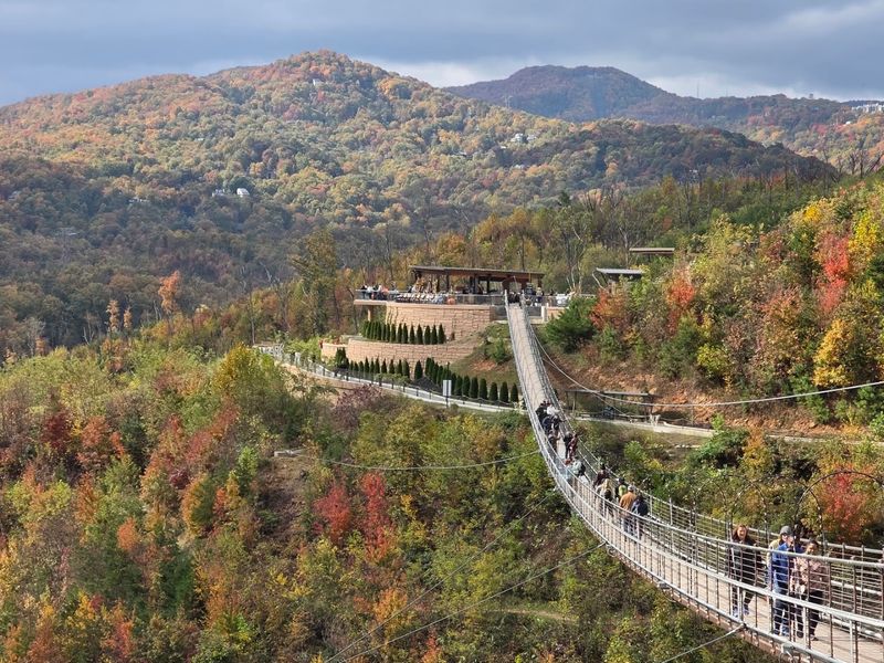 Best Times to Visit and What to Expect