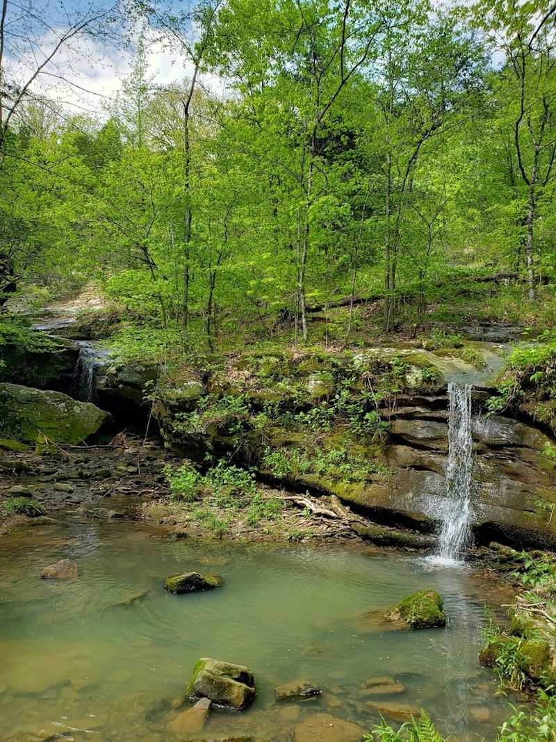 Best Times to Visit and What to Expect Each Season