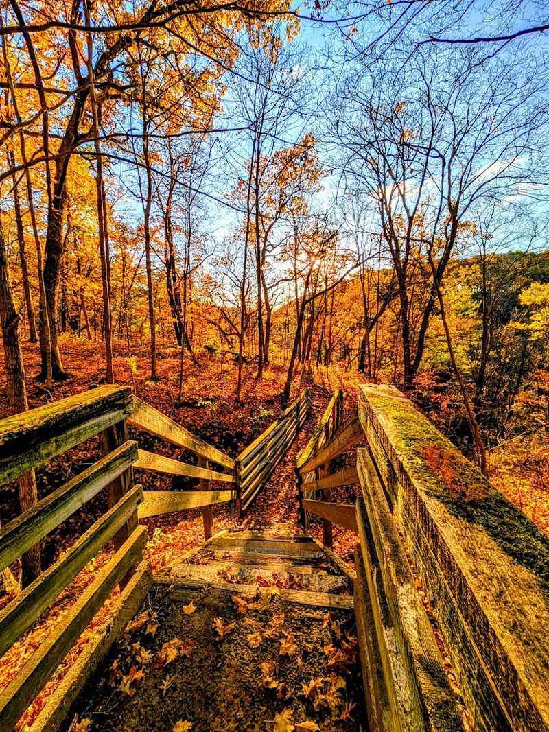 Best Times to Visit and What to Expect Each Season