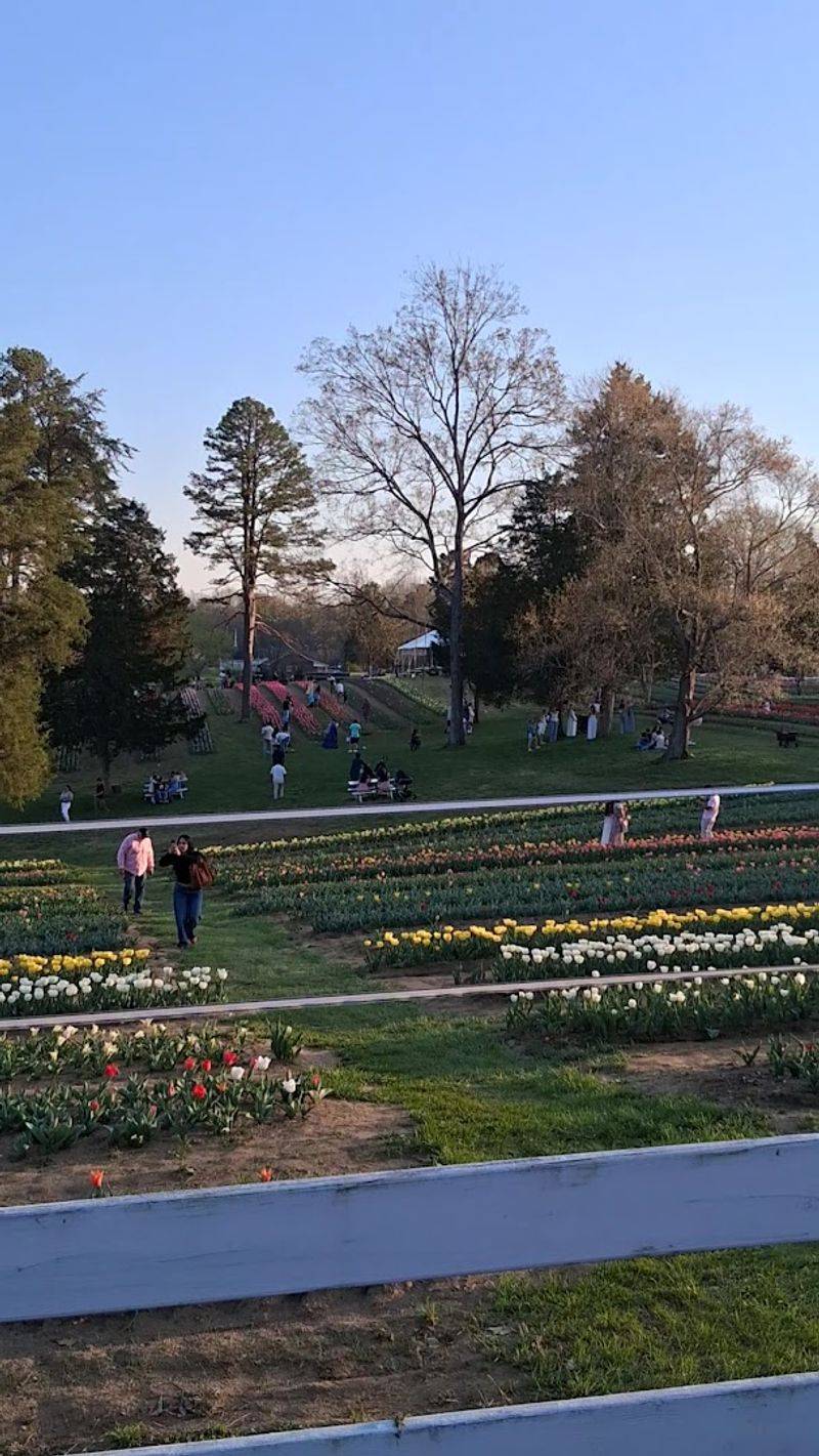 Best Times to Visit and What to Expect Each Season Best Times to Visit and What to Expect Each Season