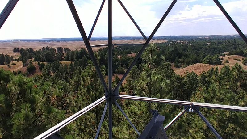 Beyond the Hiking Boots: Other Ways to Experience the Forest Beyond the Hiking Boots: Other Ways to Experience the Forest