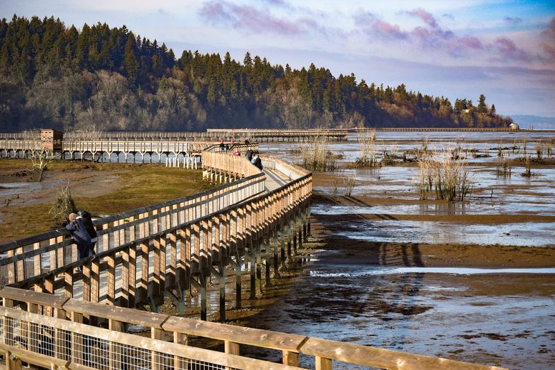 Billy Frank Jr. Nisqually National Wildlife Refuge, Olympia, Washington Billy Frank Jr. Nisqually National Wildlife Refuge, Olympia, Washington