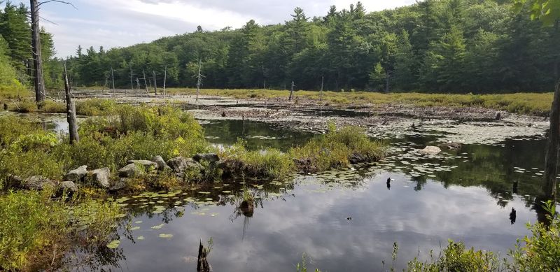 Binney Pond Natural Area, New Ipswich, New Hampshire Binney Pond Natural Area, New Ipswich, New Hampshire
