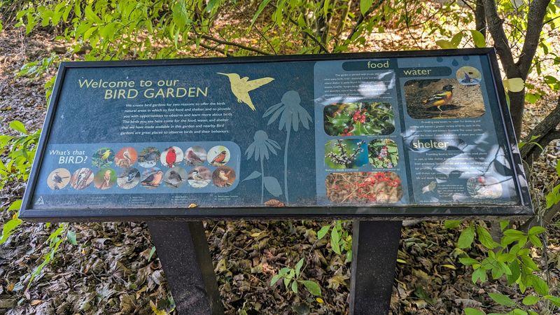 Birding Opportunities That Draw Dedicated Watchers