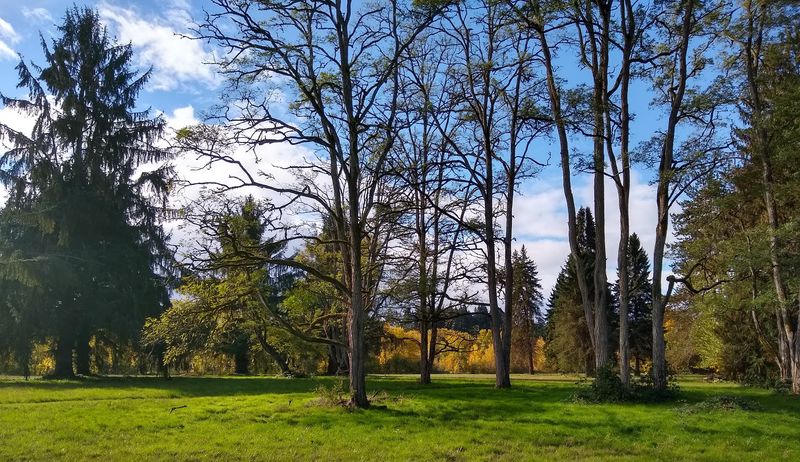 Birding, Wildlife, and the Quieter Joys of the Park