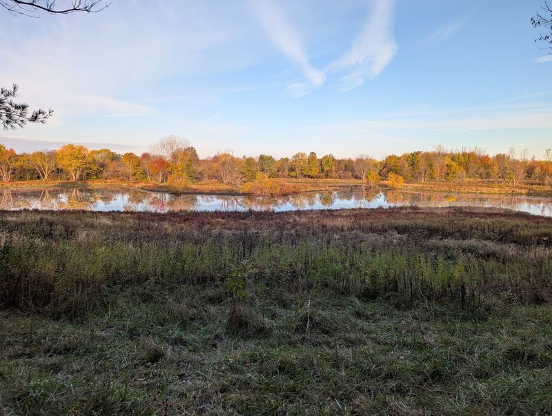 Birding at Stage's Pond Through the Seasons