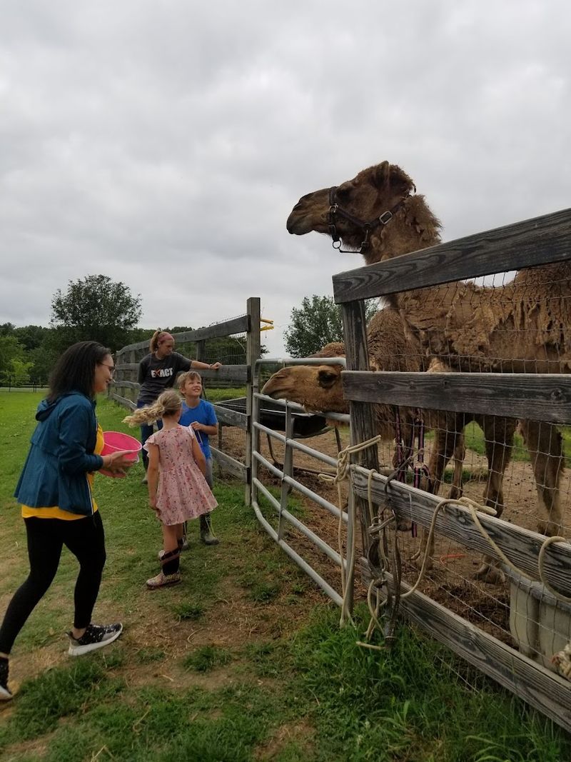 Birthday Parties and Private Events With a Wild Twist