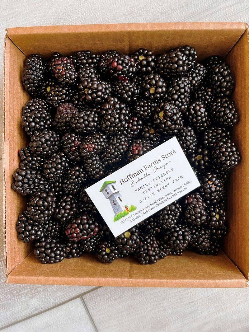 Blackberries and the Broader Berry Lineup