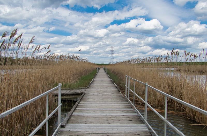 Boardwalks, Granite Paths, And Easy Loops Boardwalks, Granite Paths, And Easy Loops