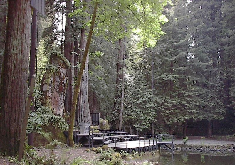 Bohemian Grove, California, United States Bohemian Grove, California, United States