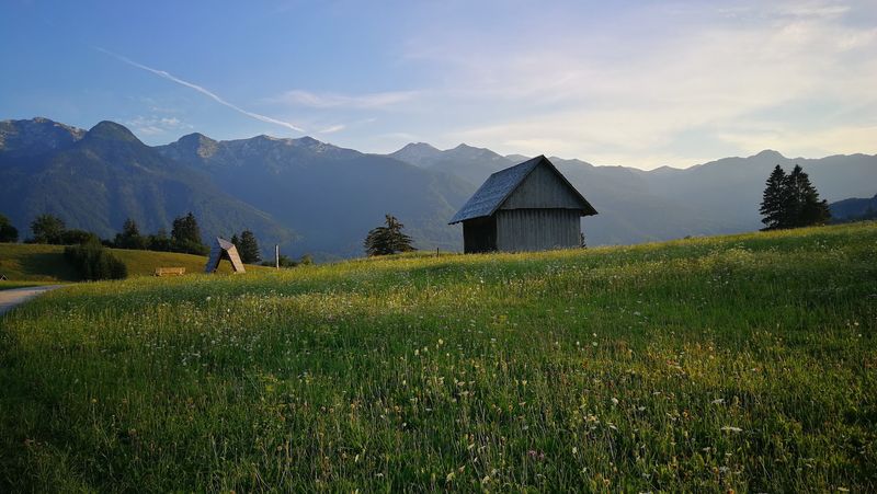 Bohinjska Češnjica, Bohinj, Upper Carniola, Slovenia
