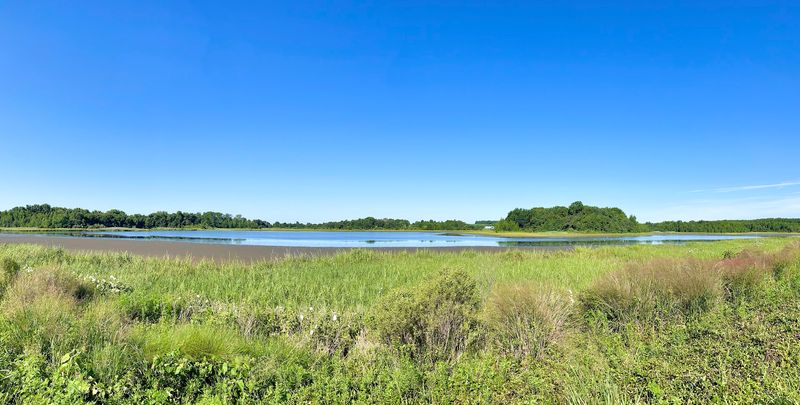 Bombay Hook National Wildlife Refuge, Smyrna, Delaware Bombay Hook National Wildlife Refuge, Smyrna, Delaware