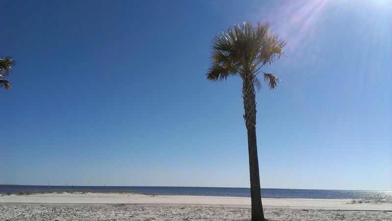 Bonfires on the Sand and How to Make It Happen