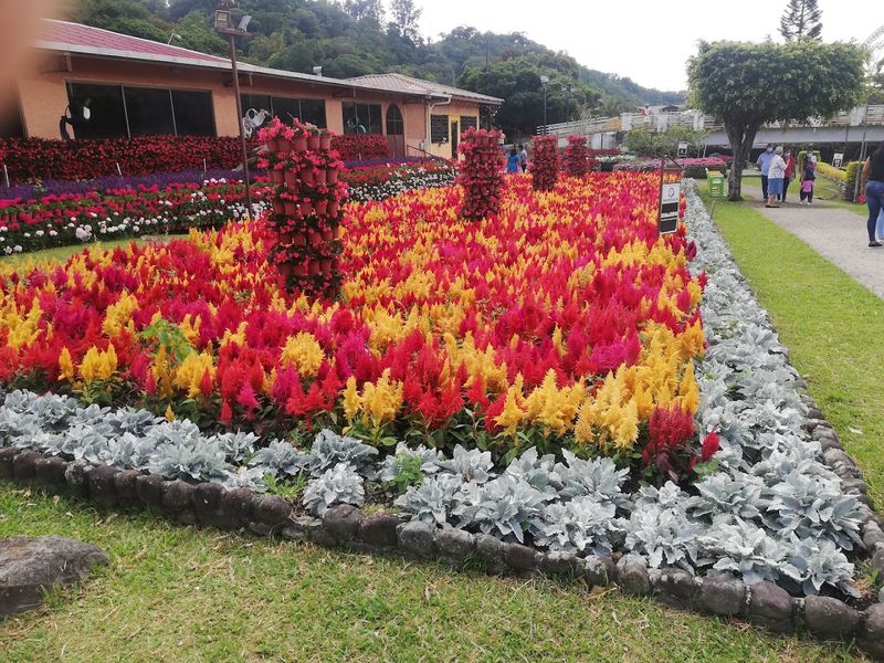 Boquete, Panama Boquete, Panama