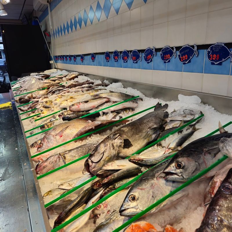 Boston Fish Market Inc Boston Fish Market Inc