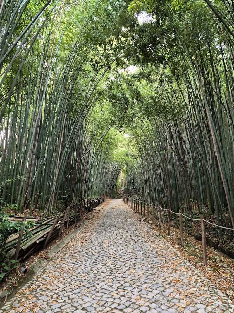 Botanical Garden of the University of Coimbra — Portugal Botanical Garden of the University of Coimbra — Portugal