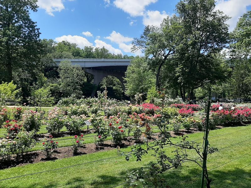 Brandywine Park: The Oldest and Most Celebrated Green Space in the City