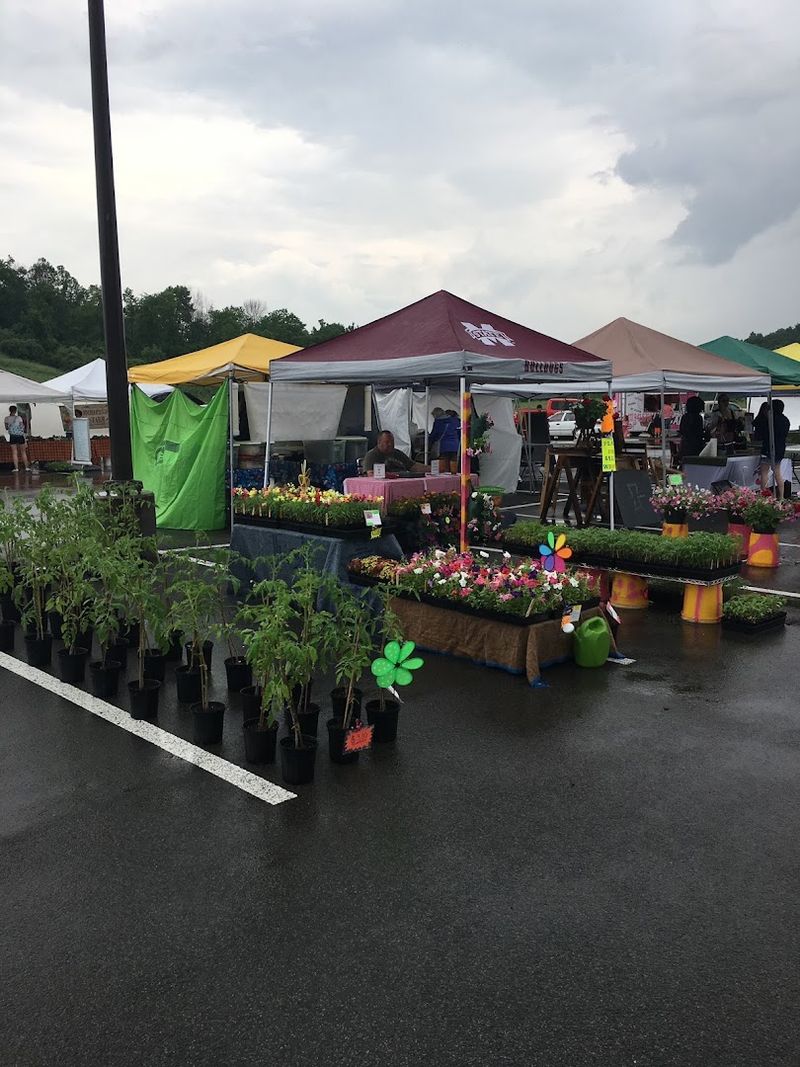 Bridgeport Farmers Market, Bridgeport, West Virginia