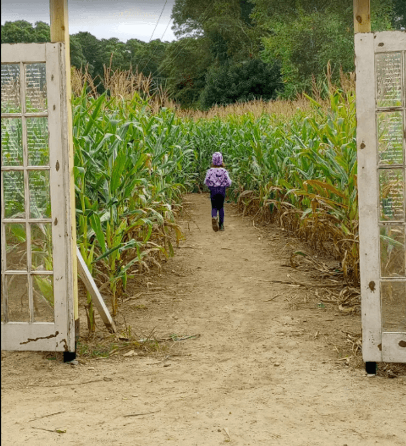 Bringing Kids to the Farm
